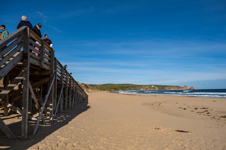 From Melbourne: Phillip Island and Penguin Parade Day Tour - Cape Woolamai and The Nobbies: Quick Coast Stops That Actually Deliver