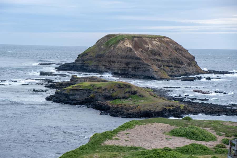From Melbourne: Phillip Island and Penguin Parade Day Tour - Seal Rocks to Summerland Beach: Building Toward the Penguin Moment