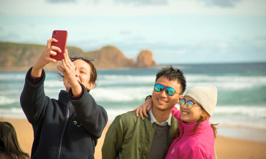 From Melbourne: Phillip Island Penguin Parade Eco Tour - The Nobbies: ocean views, walking, and seals if you’re lucky