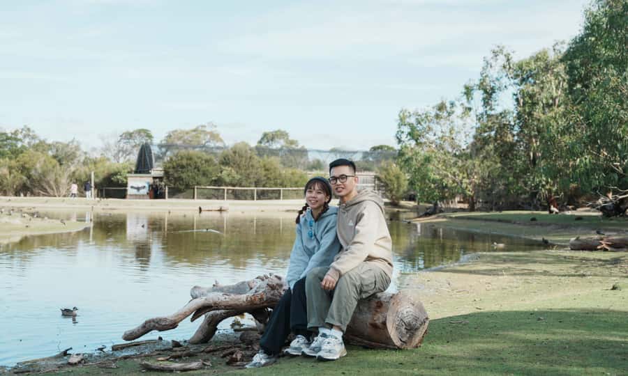 From Melbourne: Phillip Island Penguin Parade Eco Tour - Penguin Parade at sunset: how to get the most from standard viewing