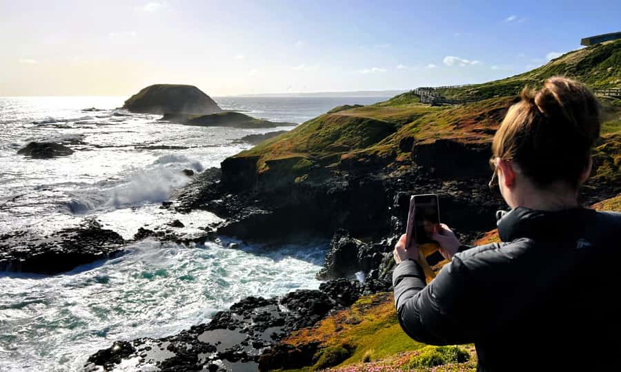 From Melbourne: Phillip Island Penguin Parade Eco Tour - Pricing and value for $109: what you’re really paying for