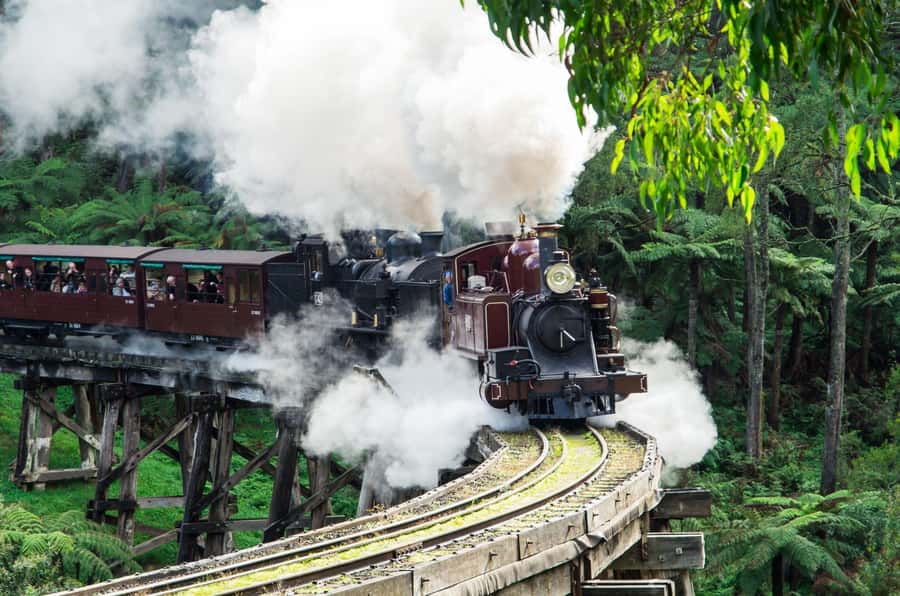 From Melbourne: Puffing Billy and Penguin Parade Combo Tour - Starting at Hotel Windsor: A Smooth Melbourne Morning