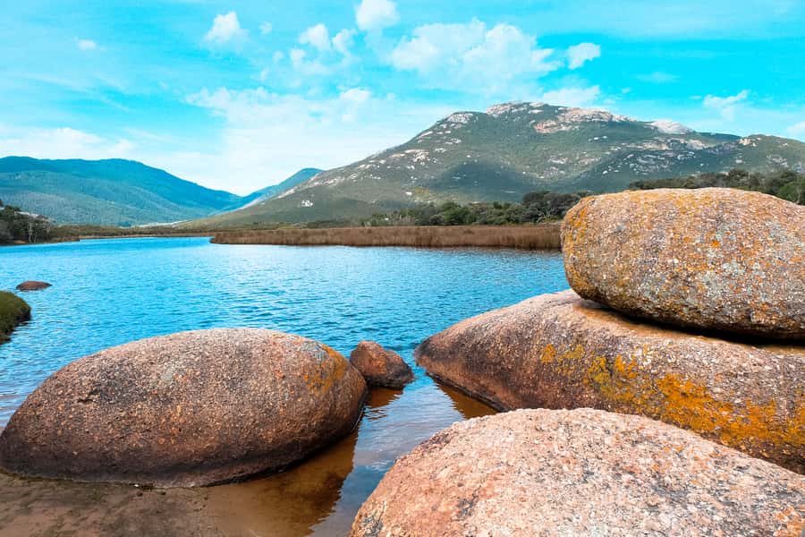 From Melbourne: Wilsons Promontory Small Group Day Tour - Wilsons Promontory in One Day, without feeling rushed