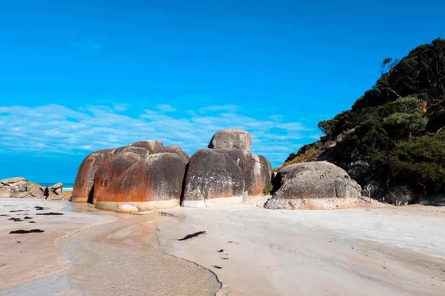 From Melbourne: Wilsons Promontory Small Group Day Tour - Squeaky Beach: quartz sand you can actually hear
