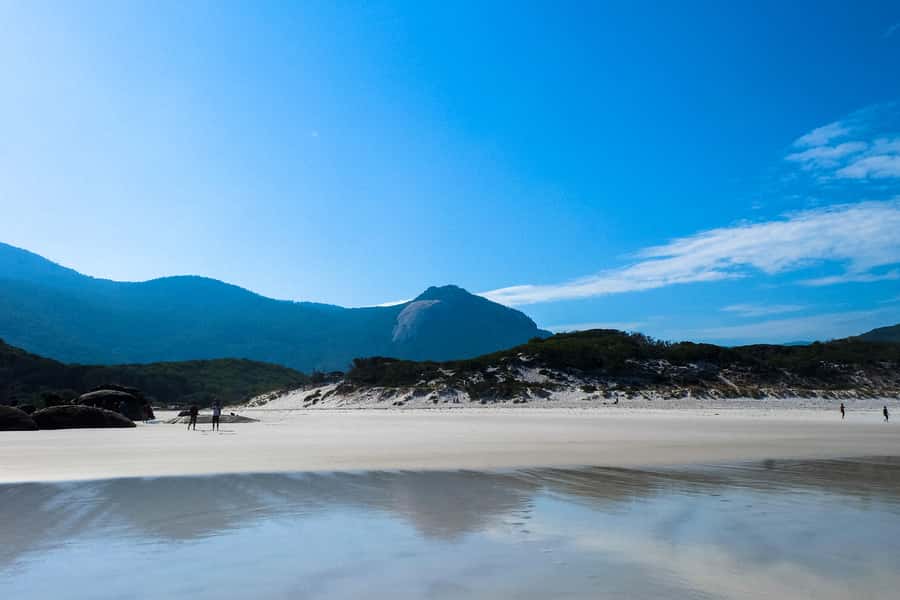 From Melbourne: Wilsons Promontory Small Group Day Tour - Lunch and snacks: plan your energy, not just your appetite