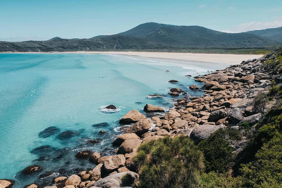From Melbourne: Wilsons Promontory Small Group Day Tour - Getting from Melbourne to the Prom in a 9-seat VW Caravelle