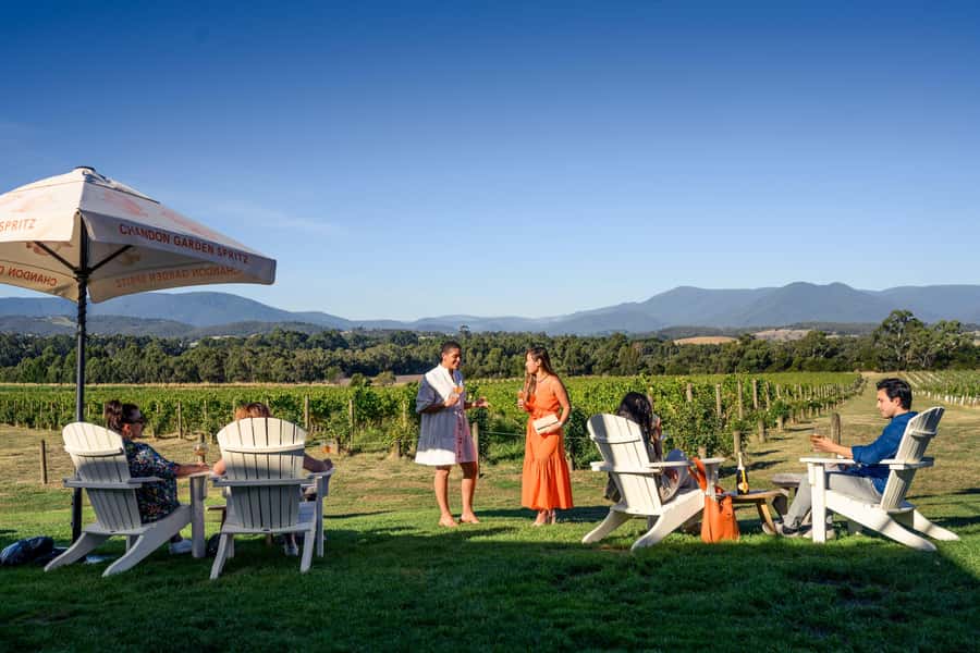 From Melbourne: Yarra Valley Hop-On-Hop-Off Bus Ticket - What’s included on board (and why it matters after a few tastings)
