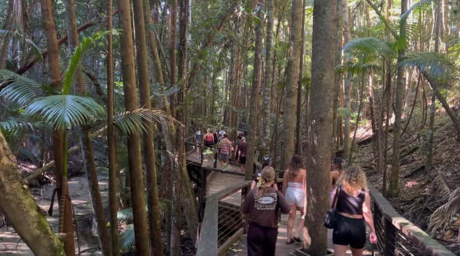 From Noosa: K'gari (Fraser Island) Small-Group Tour - Lake McKenzie swims and the best kind of hour break