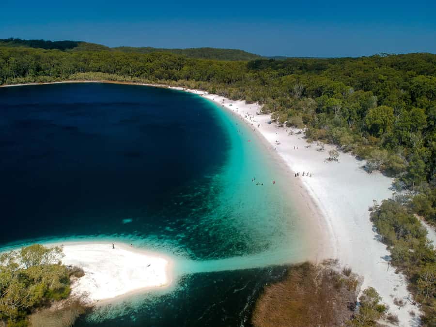 From Noosa: K'gari (Fraser Island) Small-Group Tour - Central Station rainforest and Wanggoolba Creek: tide decides your route