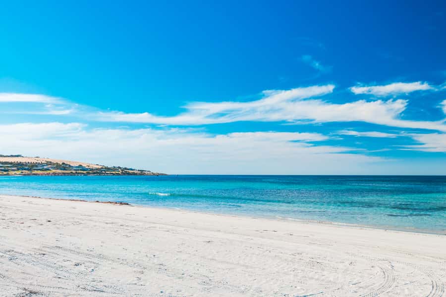 From Penneshaw: Kangaroo Island Shore Excursion Tasting Tour - Key things that make this tour worth your time