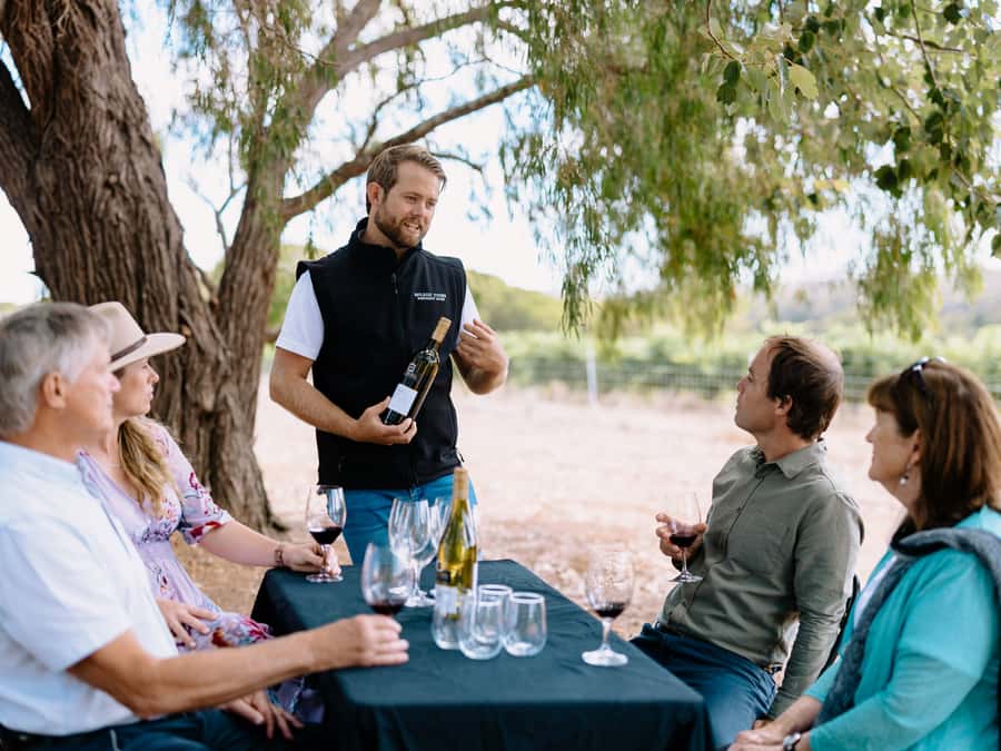 From Perth: 3-Day Margaret River Escape - Comfort, timing, and what the pace feels like