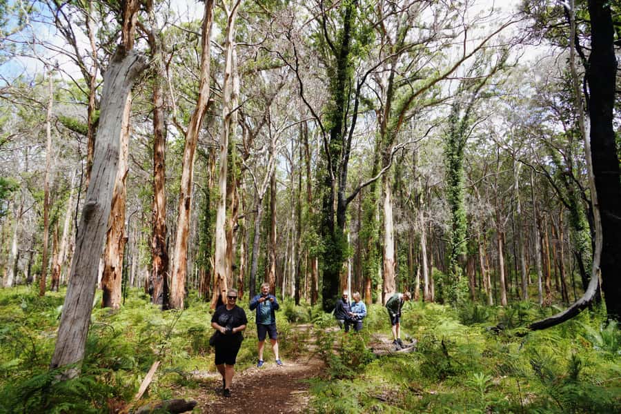 From Perth: Margaret River Region Impression Day Tour - Busselton Jetty train: the included experience that gets your attention fast