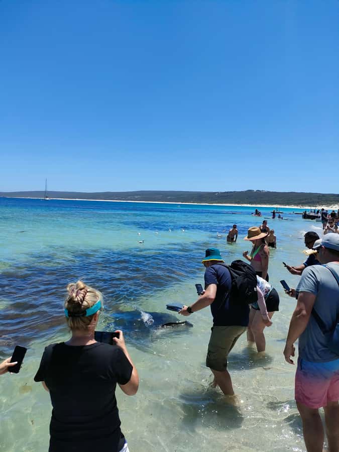 From Perth: Margaret River Region Impression Day Tour - The guide factor: live commentary that makes the stops land