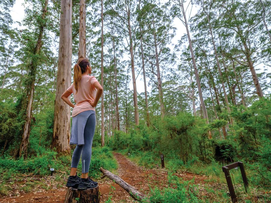 From Perth: Margaret River to Esperance 6-Day Tour - Swag camping and hiking reality check: what you should prepare for
