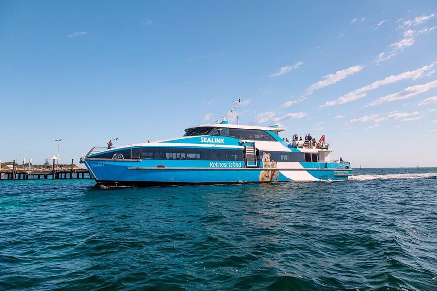 From Perth or Fremantle: Rottnest Island Ferry and Bus Tour - Who this Rottnest ferry and bus tour is best for
