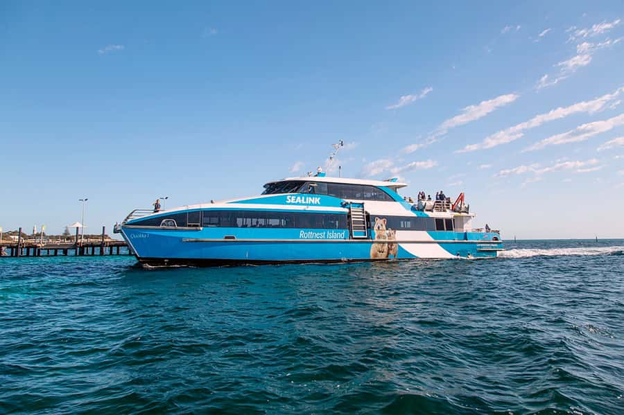 From Perth or Fremantle: Rottnest Island Ferry and Bus Tour - Service quality: what stands out from the people who did this day before you