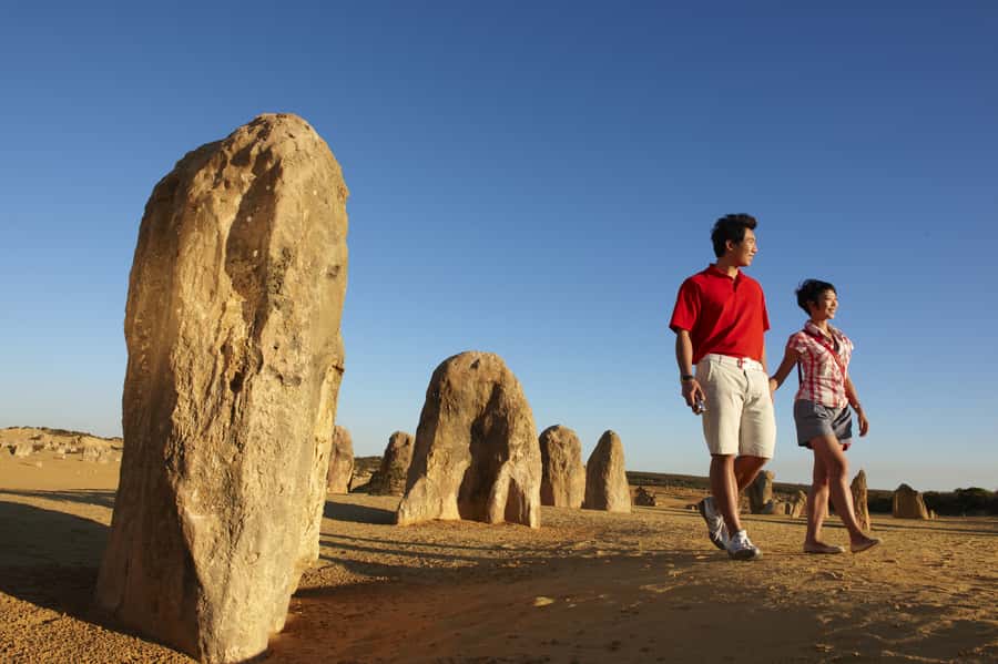 From Perth: Pinnacles Desert, Yanchep & Swan Valley Day Tour - Starting early from Perth: pickup timing and how to plan your morning