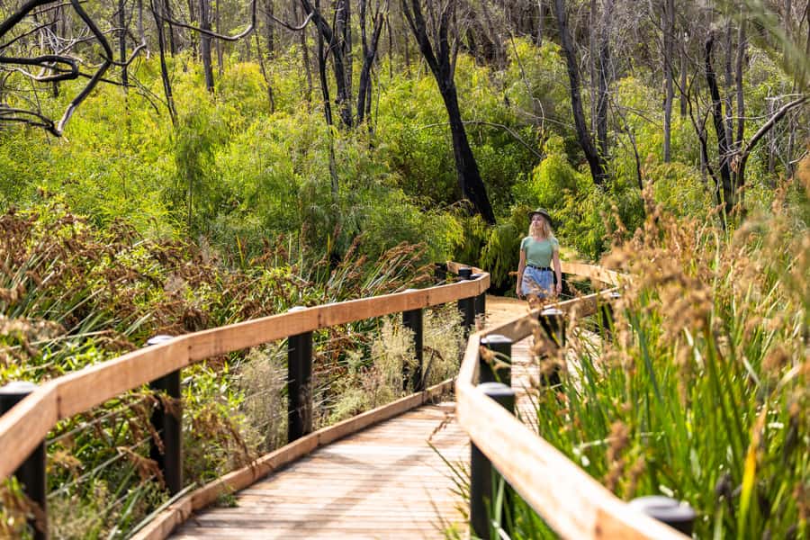 From Perth: Pinnacles Lobster Shack and Yanchep Day Trip - Price and value: what $130 buys you, and what costs extra