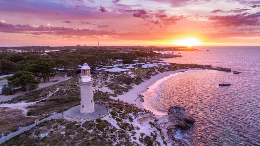 From Perth: Rottnest Island Ferry & Bus Day Tour - Perth to Rottnest in one day, without rushing your eyes