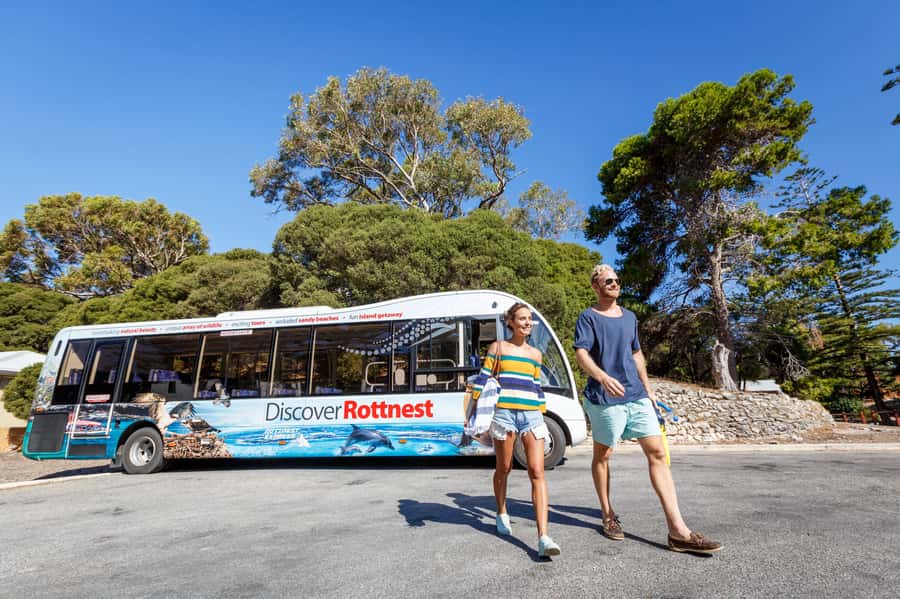 From Perth: Rottnest Island Ferry & Bus Day Tour - Getting to Rottnest’s main loop: Thomson Bay and your 90-minute coach tour