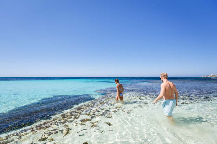 From Perth: Rottnest Island Ferry & Bus Day Tour - The ferry day starts with the Swan River, then turns ocean