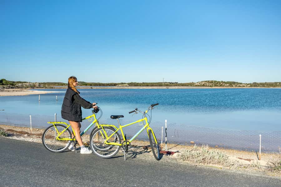 From Perth: Rottnest Island Full-Day Bike and Ferry Trip - Rottnest Island by Bike and Ferry From Perth, What You Actually Get