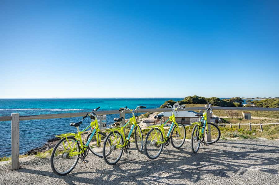 From Perth: Rottnest Island Full-Day Bike and Ferry Trip - Timing Your Return Ferry So You Don’t Feel Rushed