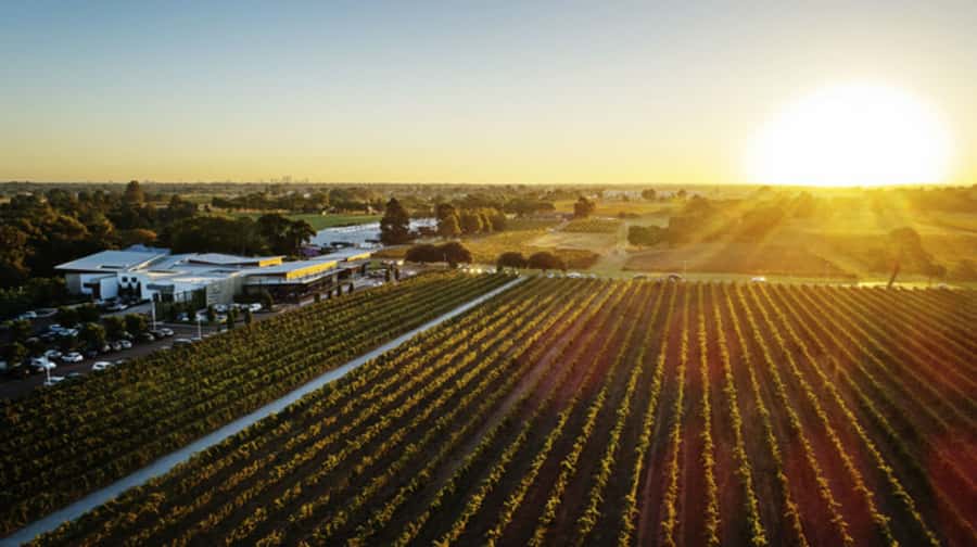 From Perth: Swan Valley Cruise, Winery, Cheese & Lunch - Premium tastings onboard: how the wine part works