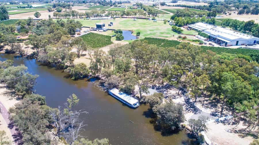 From Perth: Swan Valley Cruise, Winery, Cheese & Lunch - Small logistics that affect comfort: seating, shoes, and parking