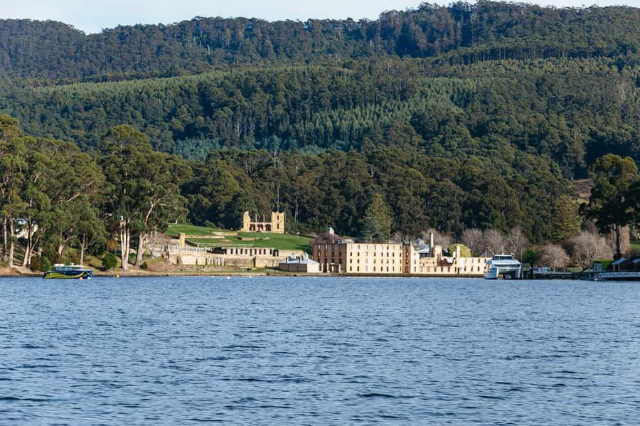 From Port Arthur: Tasman Island Wilderness Cruise - Crew operation at speed, captain commentary, and safety checks