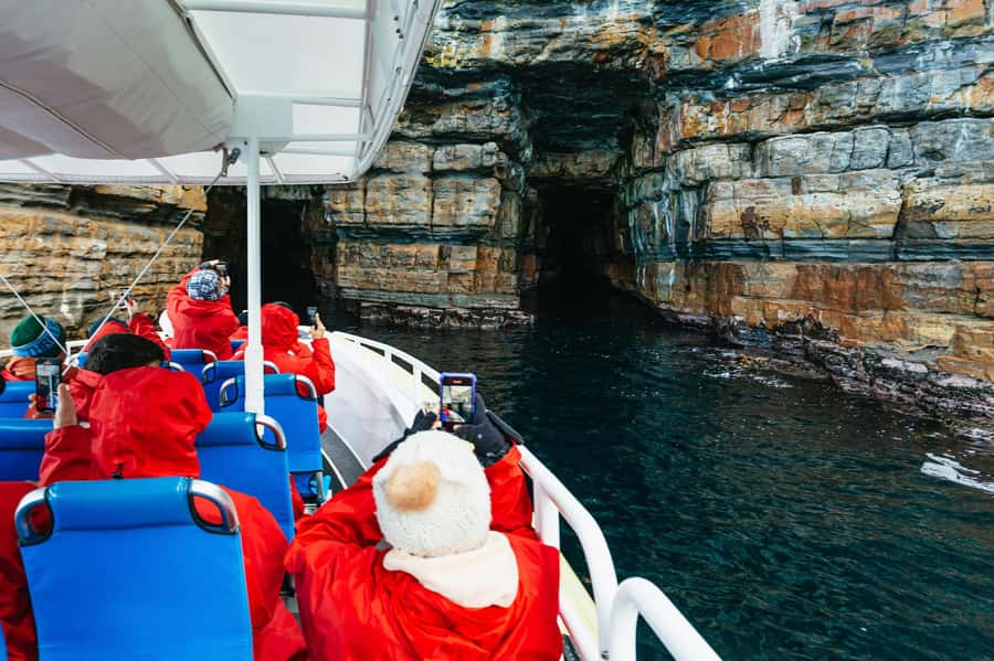 From Port Arthur: Tasman Island Wilderness Cruise - Port Arthur to Eaglehawk Neck in 3 hours, with route shifts for conditions