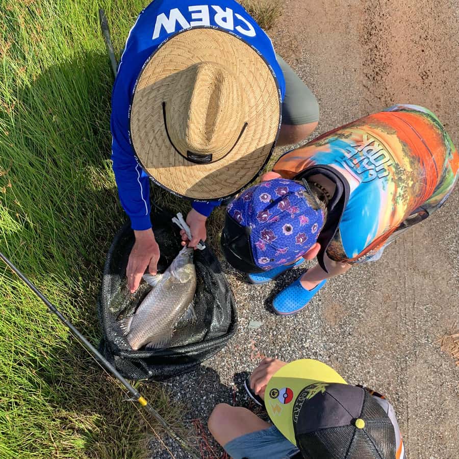 From Port Douglas: Barramundi Pond Fishing with Lunch - How Pond Fishing Works Here (Catch-and-Release, Land-Based, Guided Help)