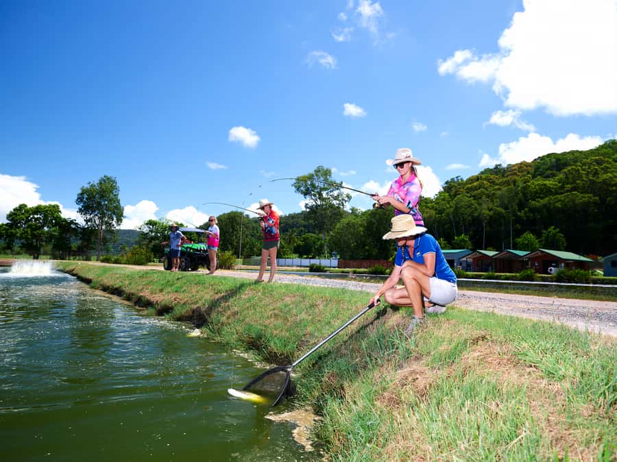 From Port Douglas: Barramundi Pond Fishing with Lunch - Best Fit: Who Will Love This Barra Pond Fishing Experience