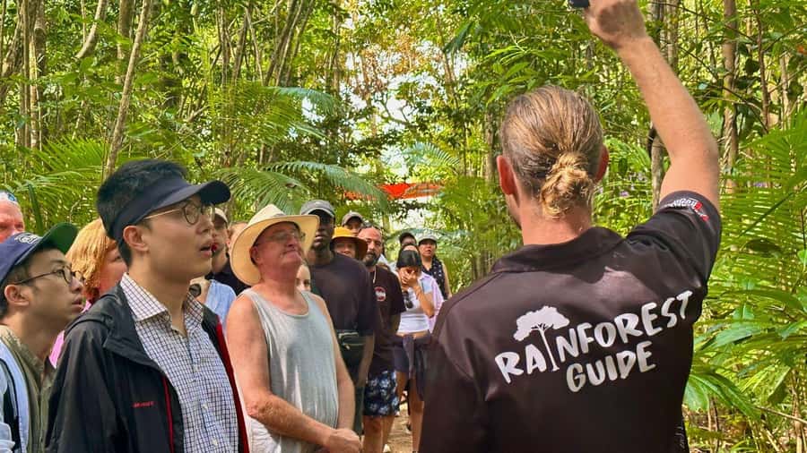 From Port Douglas: Daintree Rainforest & Mossman Gorge Tour - Key things I’d circle before you go