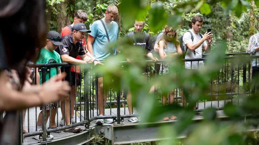 From Port Douglas: Daintree Rainforest & Mossman Gorge Tour - Mossman Gorge, where the day starts with rainforest and culture