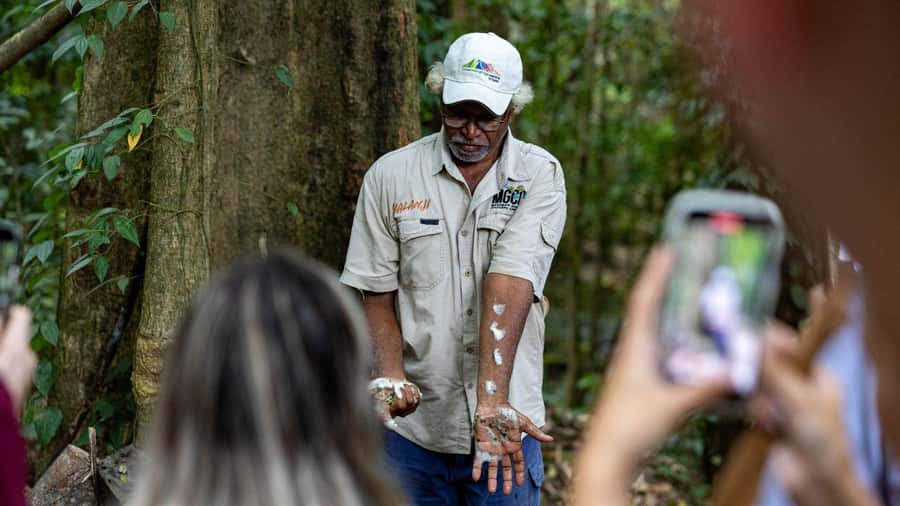 From Port Douglas: Daintree Rainforest & Mossman Gorge Tour - Daintree River wildlife cruise, the part people remember later