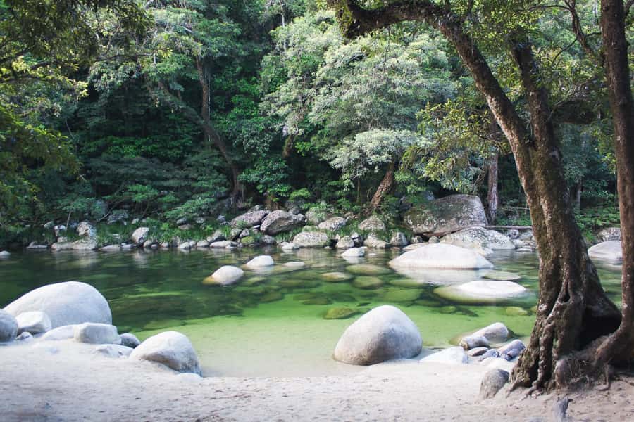From Port Douglas: Daintree Rainforest & Mossman Gorge Tour - Lunch and the ride toward Cape Tribulation