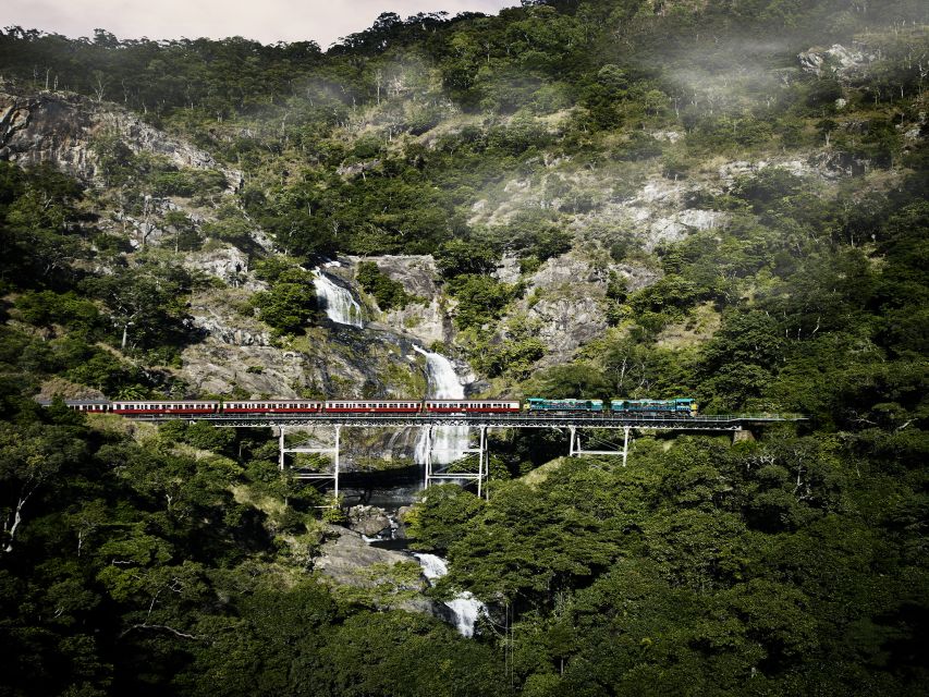 From Port Douglas: Kuranda Tour with Skyrail & Scenic Train - Who should book this tour, and who should consider another option