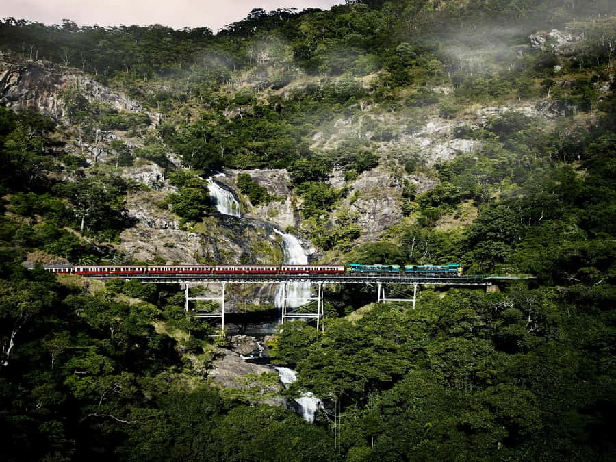 From Port Douglas: Kuranda Tour with Skyrail & Scenic Train - Skyrail Rainforest Cableway: 75 minutes, two stops, and a real change in perspective