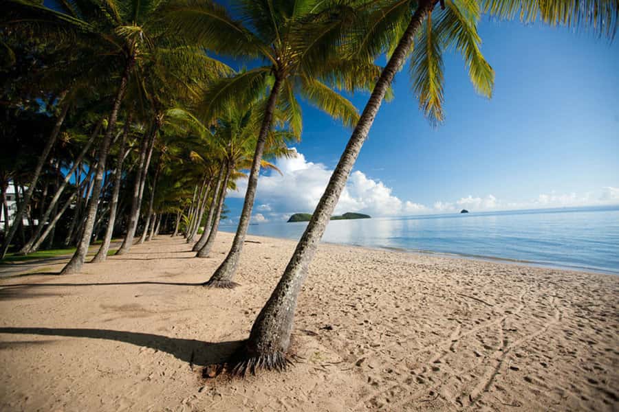 From Port Douglas: Kuranda Tour with Skyrail & Scenic Train - Kuranda Village: markets, art, and how to use your free time well