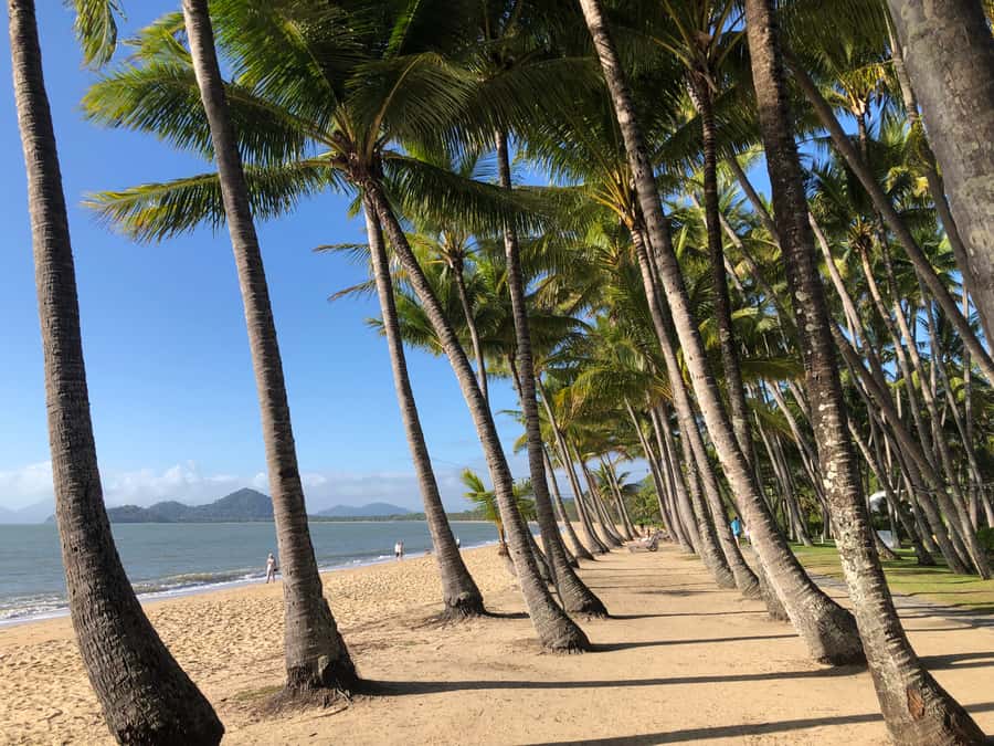 From Port Douglas: Kuranda via Scenic Rail or Skyrail Option - Freshwater Station and the Kuranda Scenic Railway with 15 tunnels