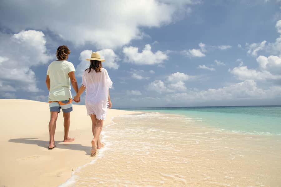 From Port Douglas: Outer Reef Cruise by Luxury Catamaran - Who this tour fits, and who should skip it
