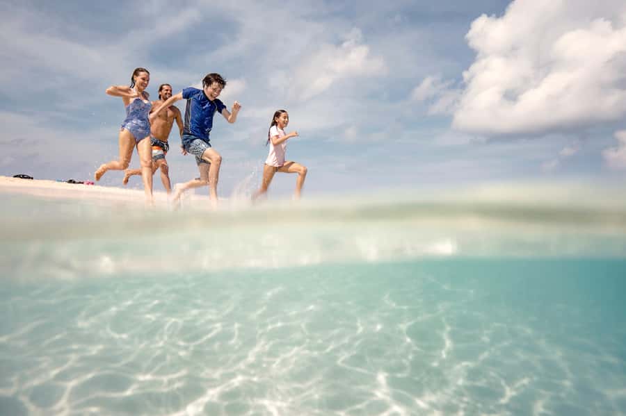 From Port Douglas: Outer Reef Cruise by Luxury Catamaran - The marine biologist snorkel: what you learn before you swim