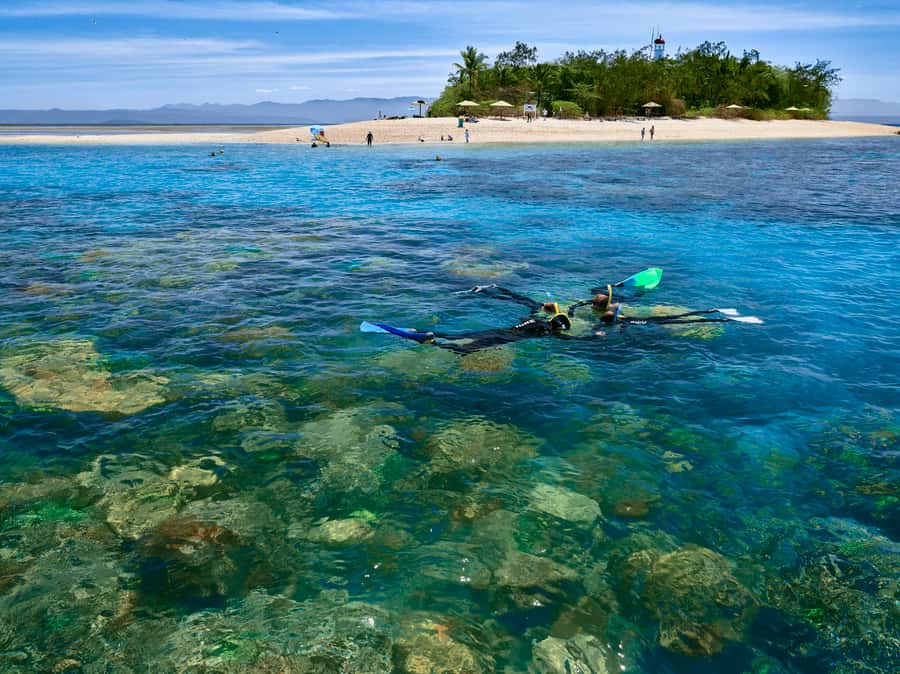 From Port Douglas: Sail to Low Isles Great Barrier Reef - Low Isles on the Great Barrier Reef, without the chaos