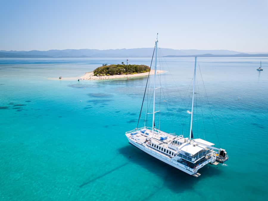From Port Douglas: Sail to Low Isles Great Barrier Reef - The marine biologist talk that makes the reef make sense