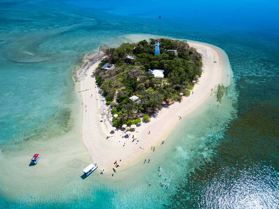 From Port Douglas: Sail to Low Isles Great Barrier Reef - Safety and comfort: crew support is part of the value