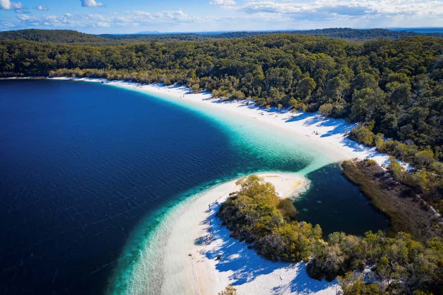 From Rainbow Beach: K'gari Fraser Island Full-Day Coach Tour - Central Station and the island’s living history: what the guide helps you notice