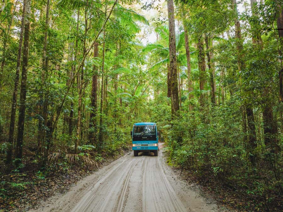 From Rainbow Beach: K'gari Fraser Island Full-Day Coach Tour - Eli Creek floating and 75 Mile Beach: water fun with a choice