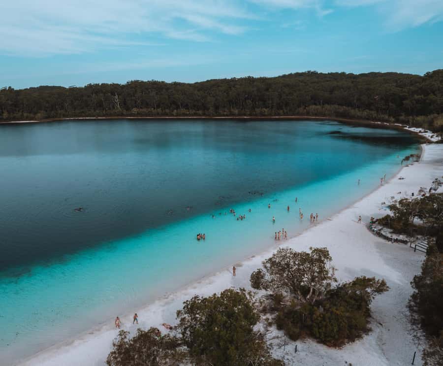 From Rainbow Beach: K'gari (Fraser Island) Full-Day Tour - Eli Creek: where the swim time feels like a reset