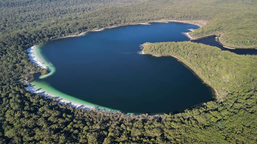 From Rainbow Beach: K'gari (Fraser Island) Full-Day Tour - SS Maheno shipwreck: the story you will actually remember